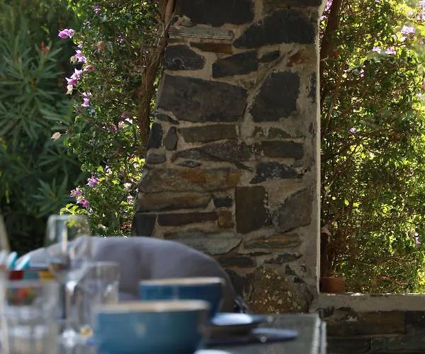 Ferienhaus Maison Sous Les Pins *